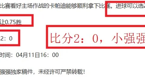 大乐透期号专家推荐：印尼关键伤停影响分析